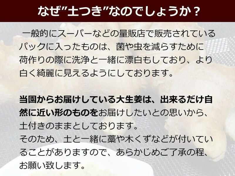 露地物土つき大しょうが（囲い生姜）約4kg【送料込】 | 白木果樹園
