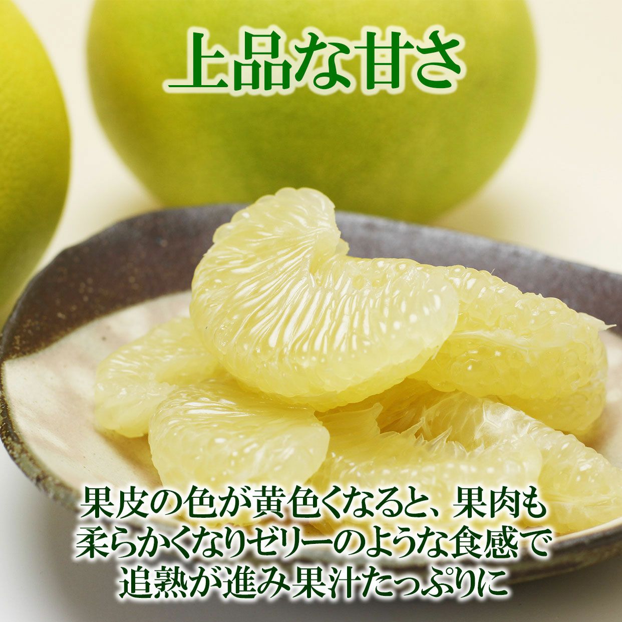 水晶文旦特選ご贈答用約1.5kg特大2個入り【送料込】 | 白木果樹園