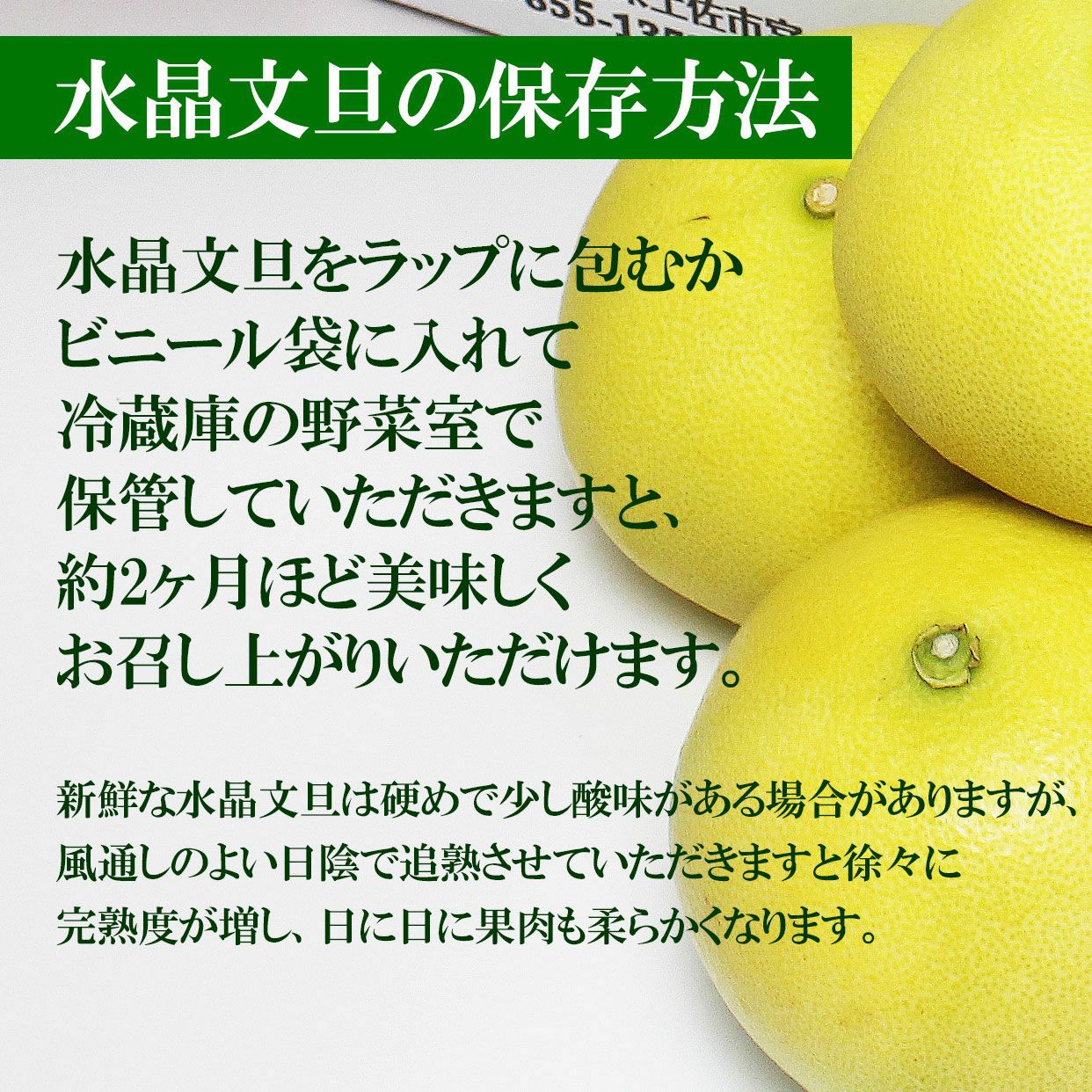 水晶文旦特選ご贈答用約3kg大玉5個入り【送料込】 | 白木果樹園