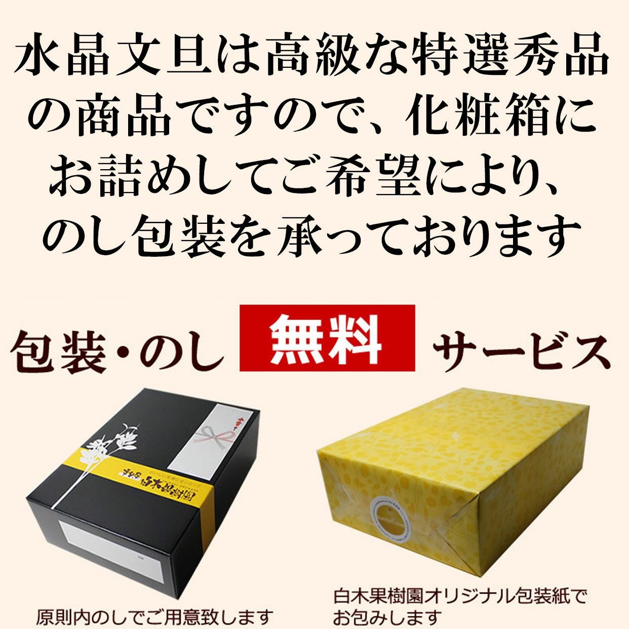 水晶文旦特選ご贈答用約3kg中玉6個入り（レギュラーサイズ）【送料込