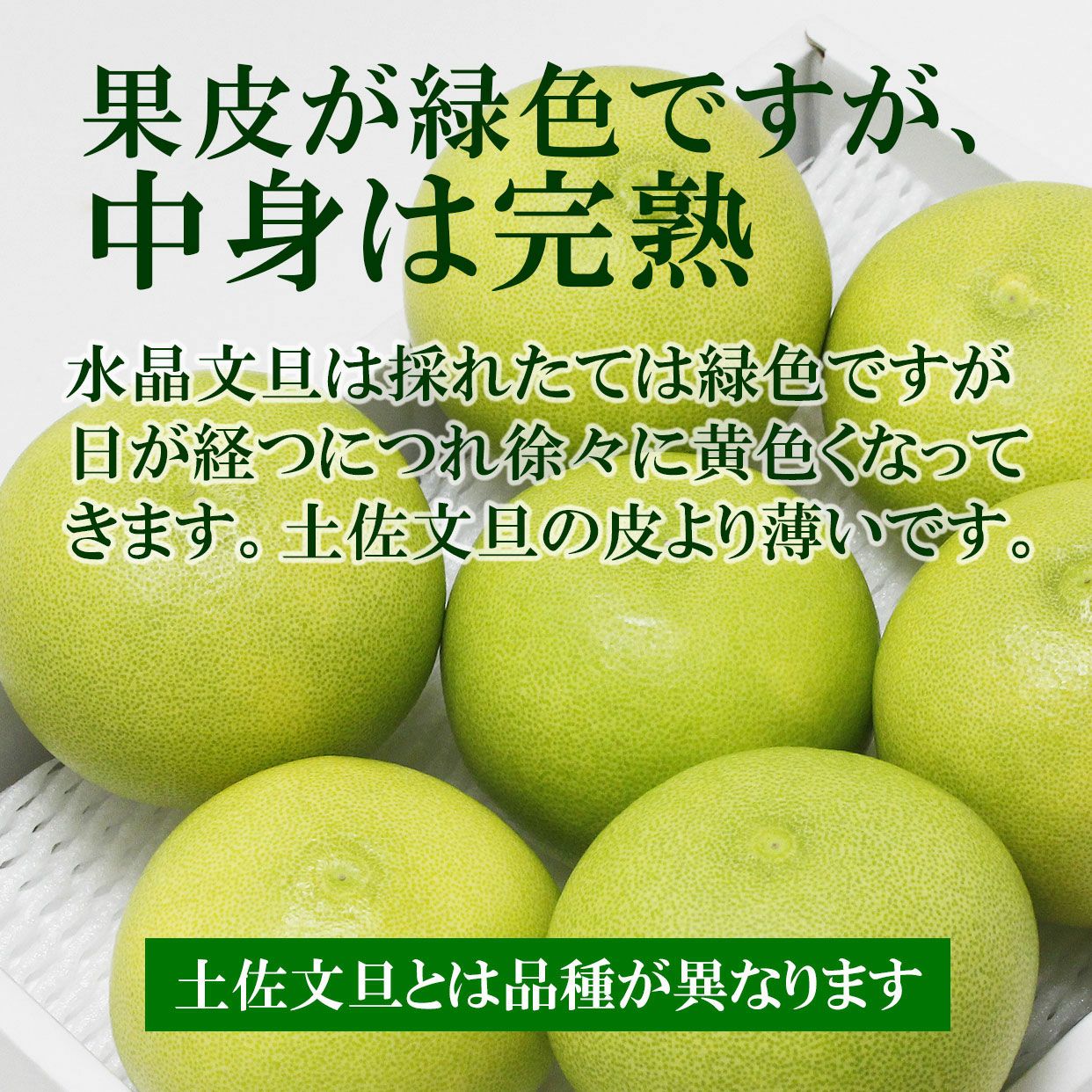 000000000119-04.jpg?size=l&w=