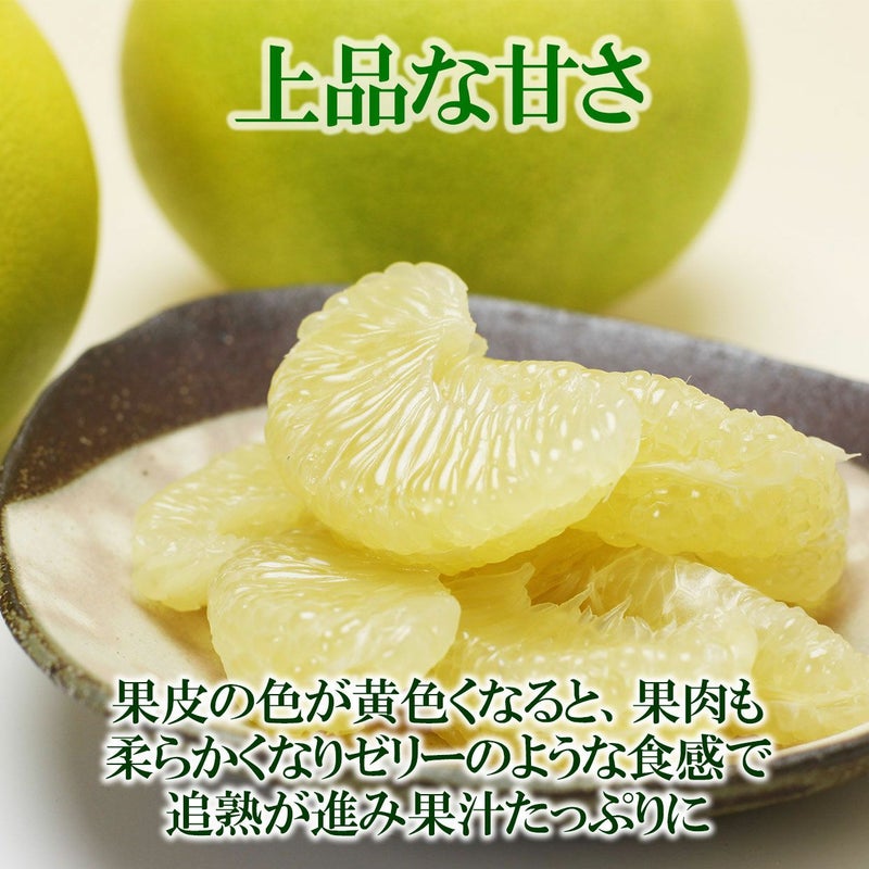 上品な甘さの秋のぶんたん