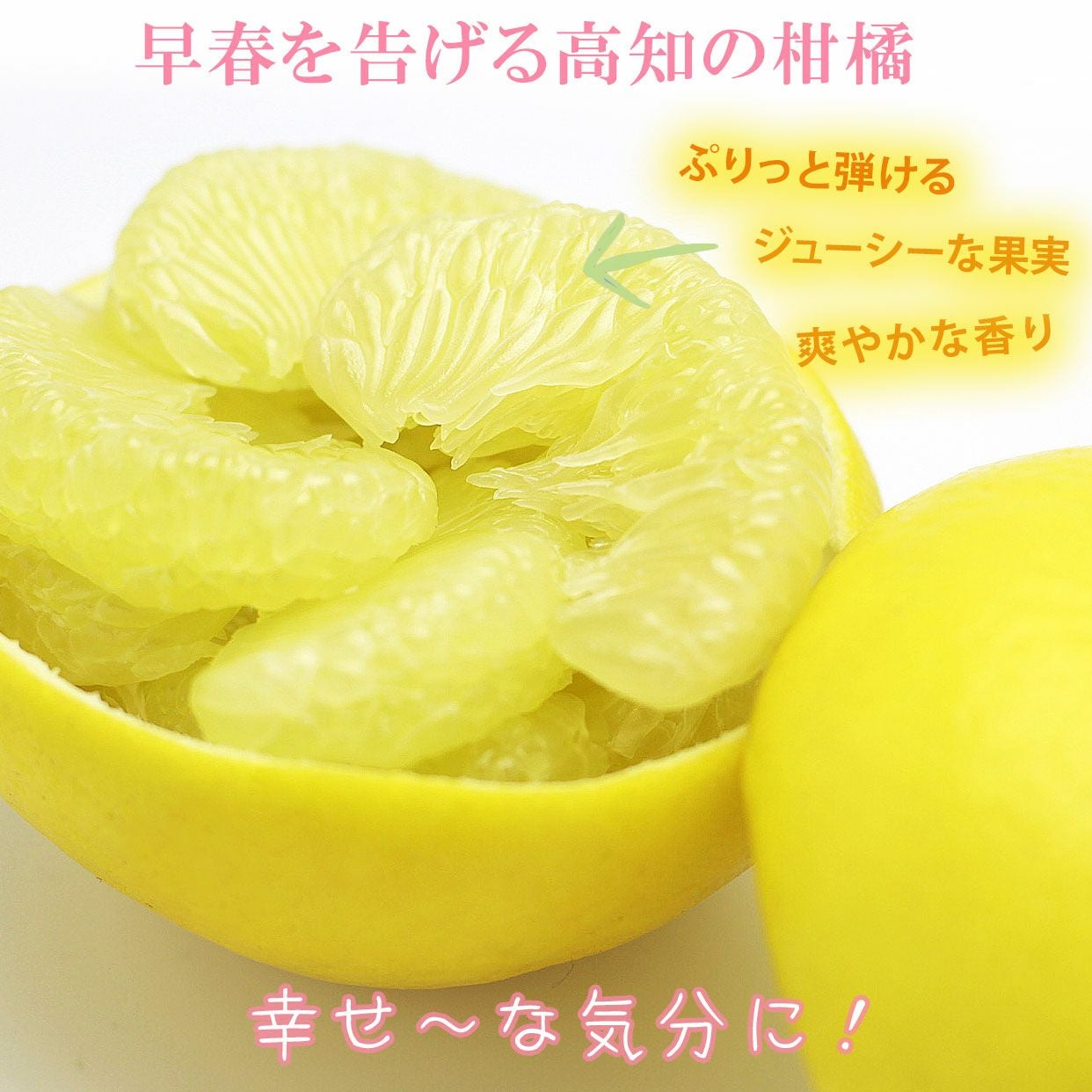 000000000128-06.jpg?size=l&w=