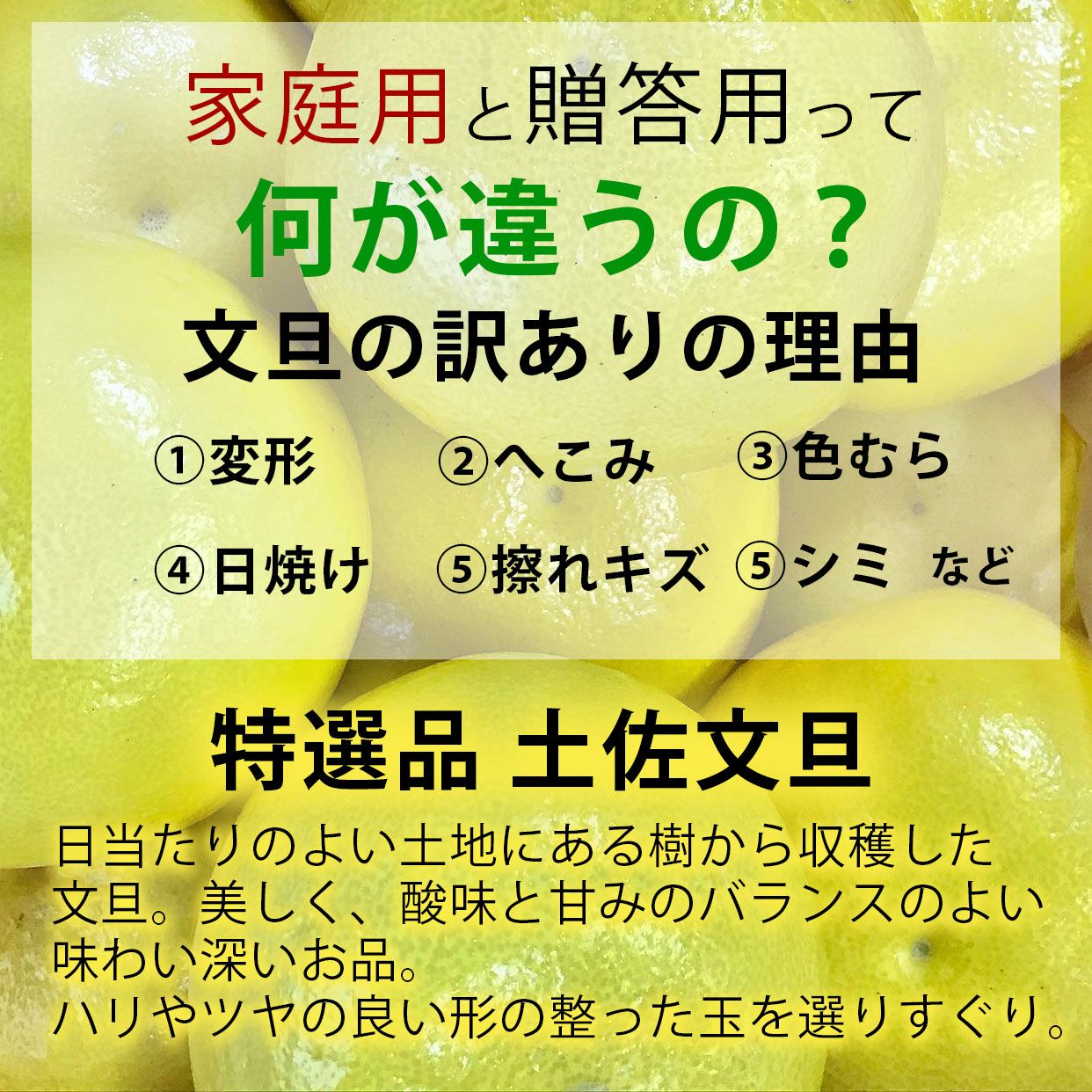 000000000128-11.jpg?size=l&w=