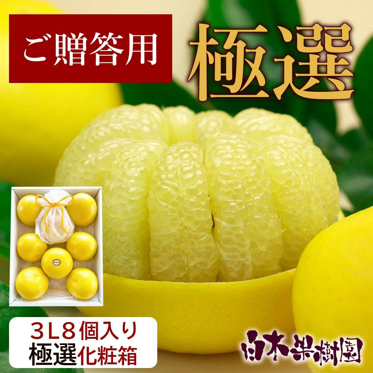 土佐文旦（ぶんたん、ブンタン）