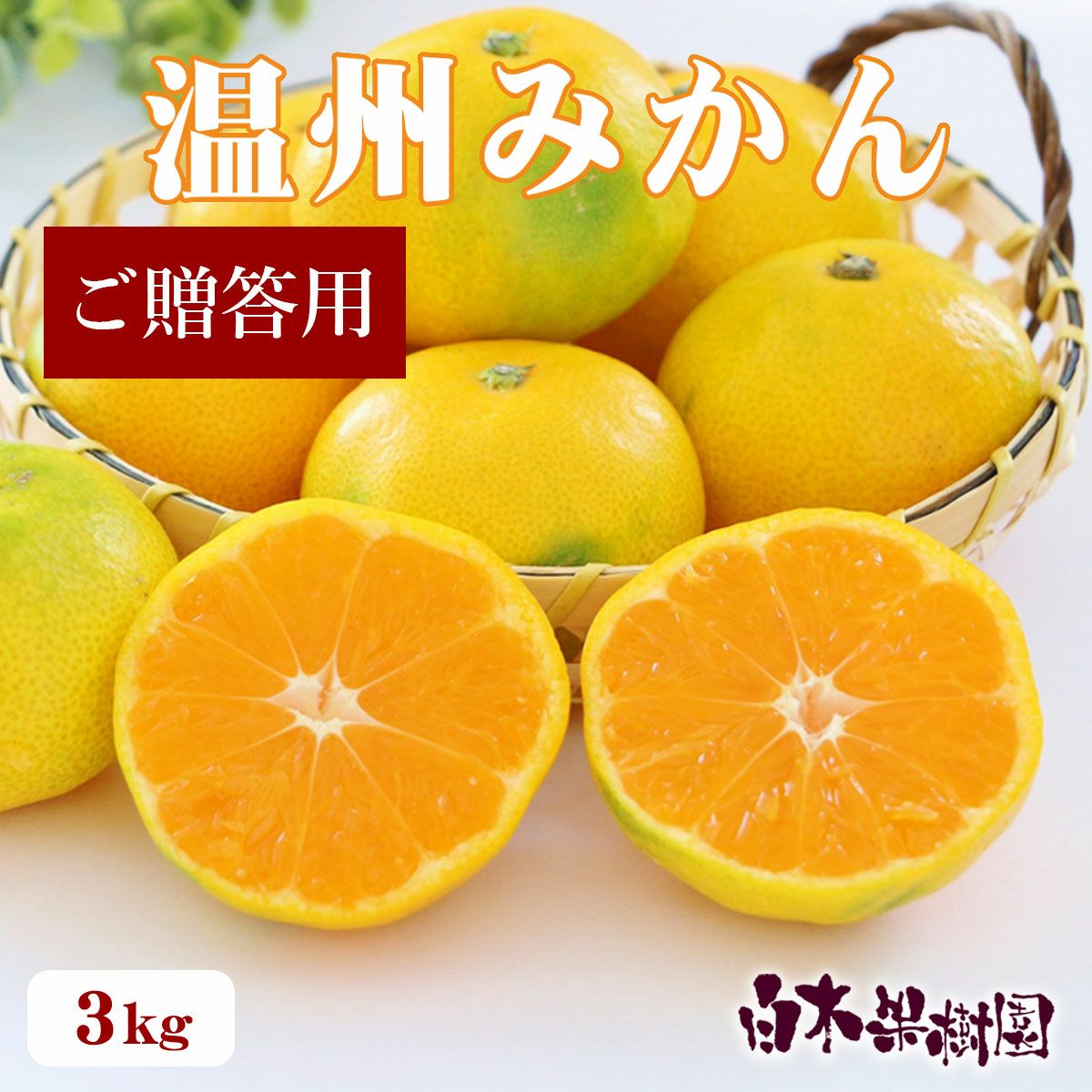 特選秀品温州みかん約3kg【送料込】 | 白木果樹園