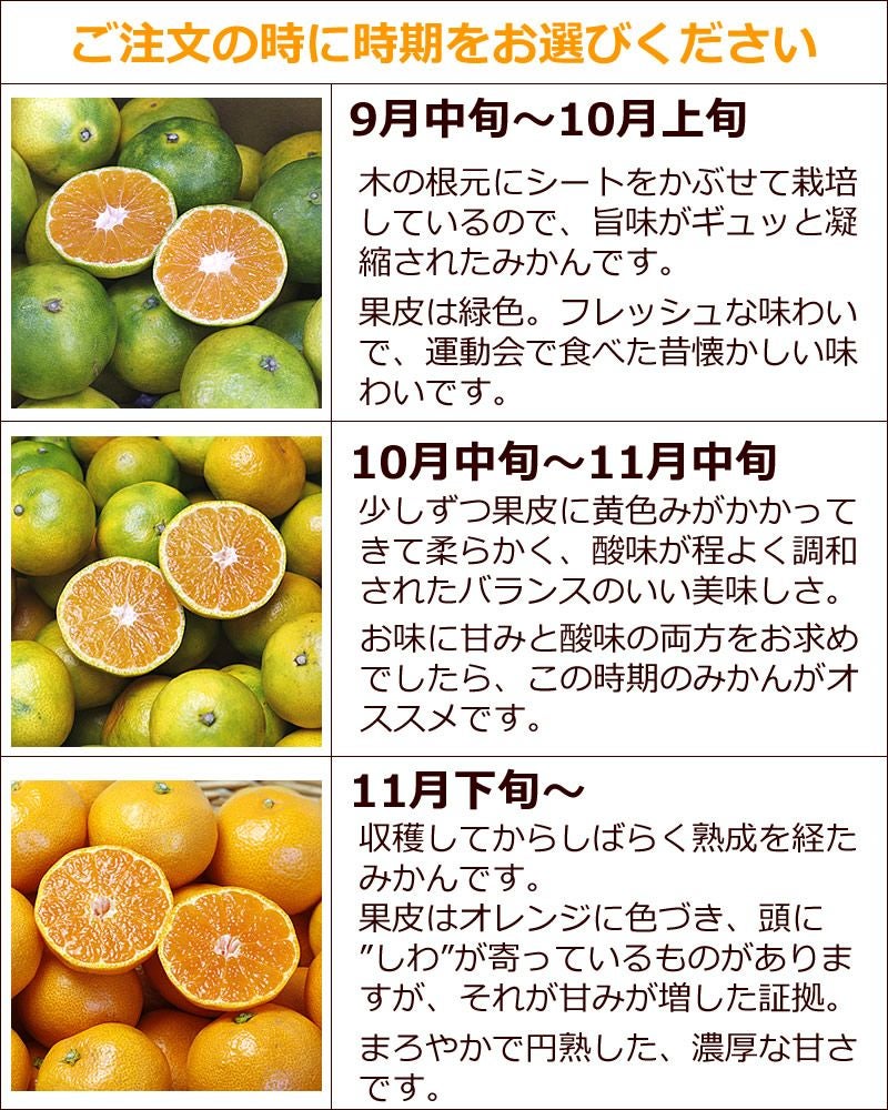 特選秀品温州みかん約5kg【送料込】 | 白木果樹園