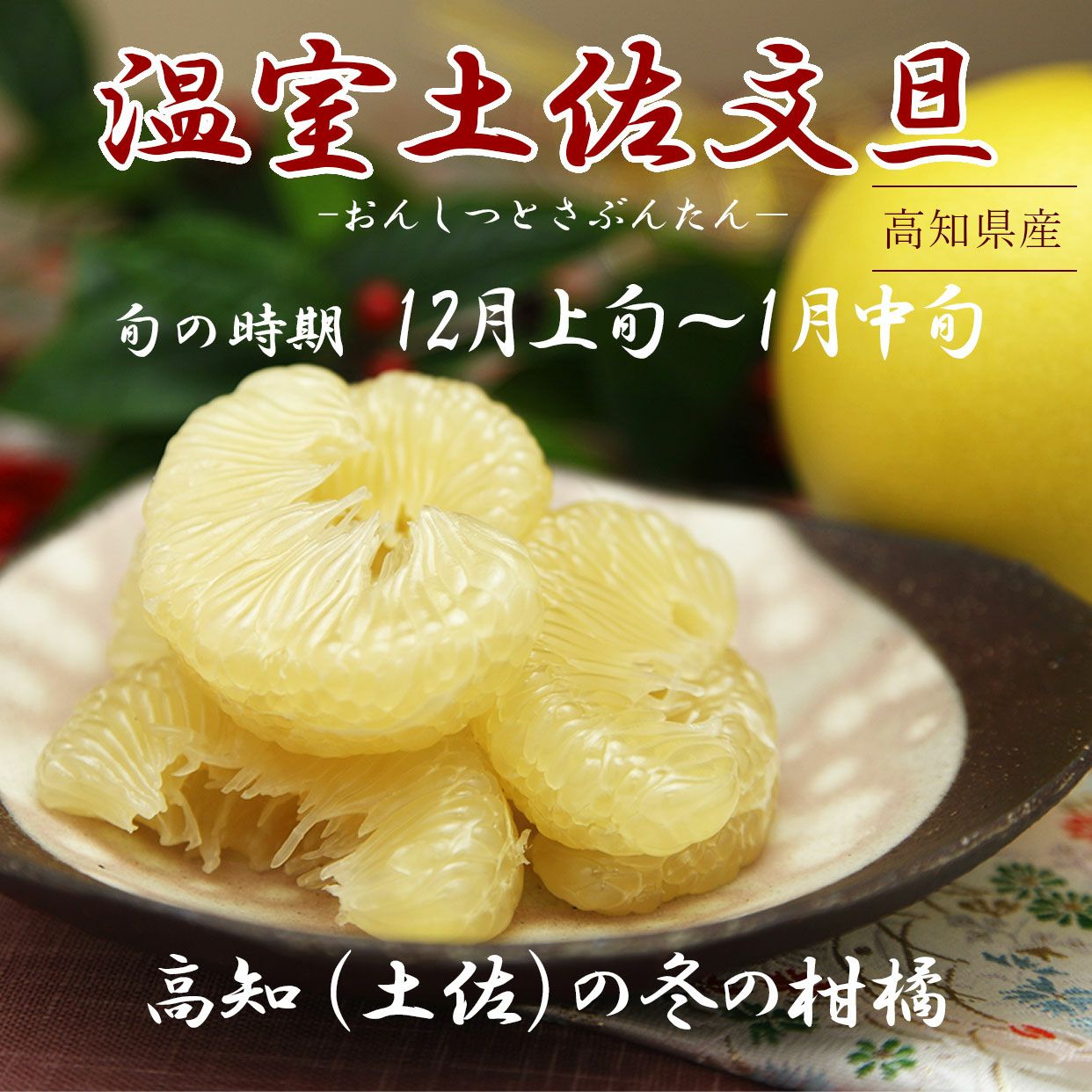 000000000156-02.jpg?size=l&w=