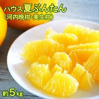 ハウス夏ぶんたんご家庭用 約5kg