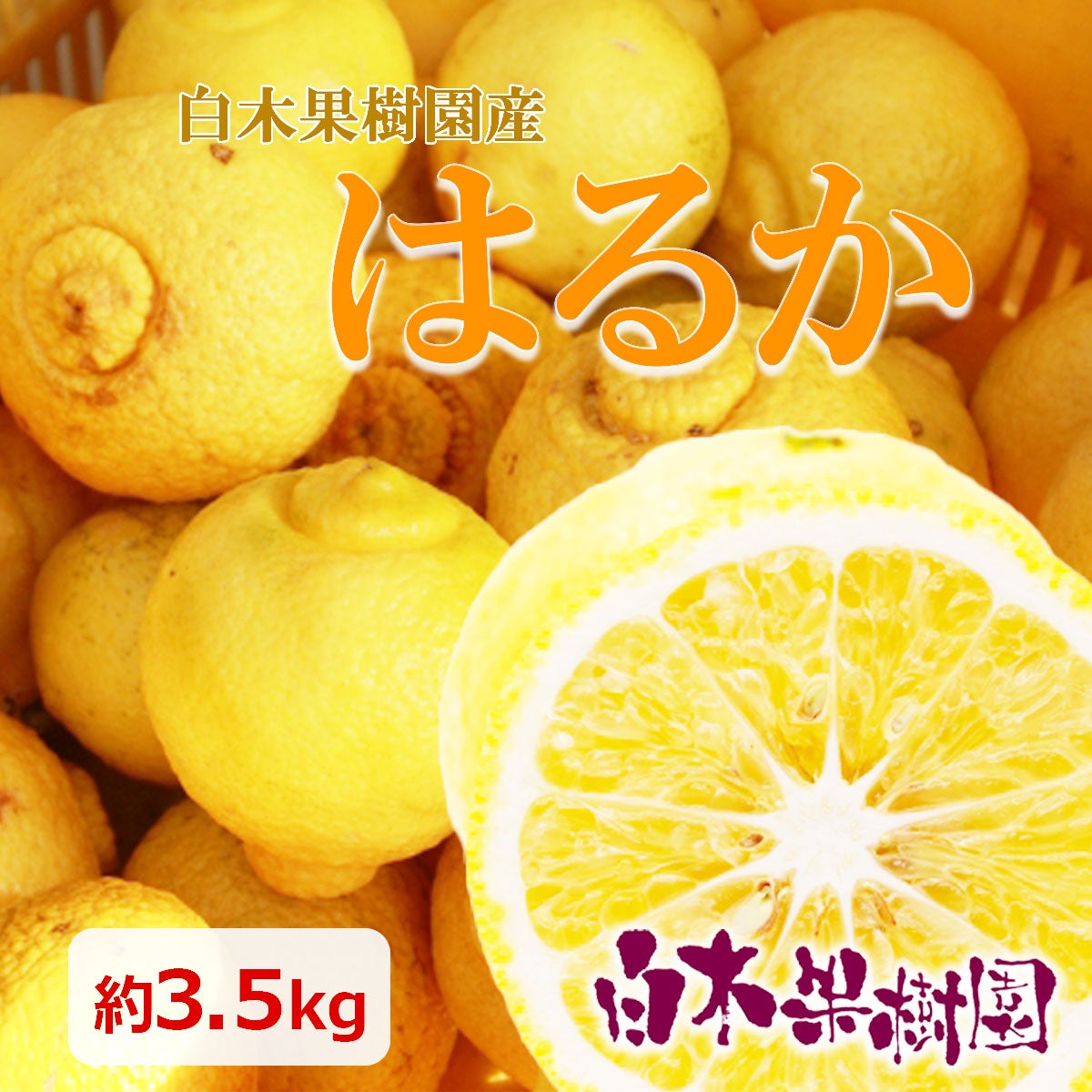 30％OFFセール】白木果樹園産はるか約3.5kg訳ありご家庭用【B級品