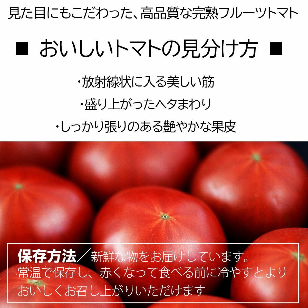 土佐まほろばトマト約1.3㎏【クール送料込】 | 白木果樹園