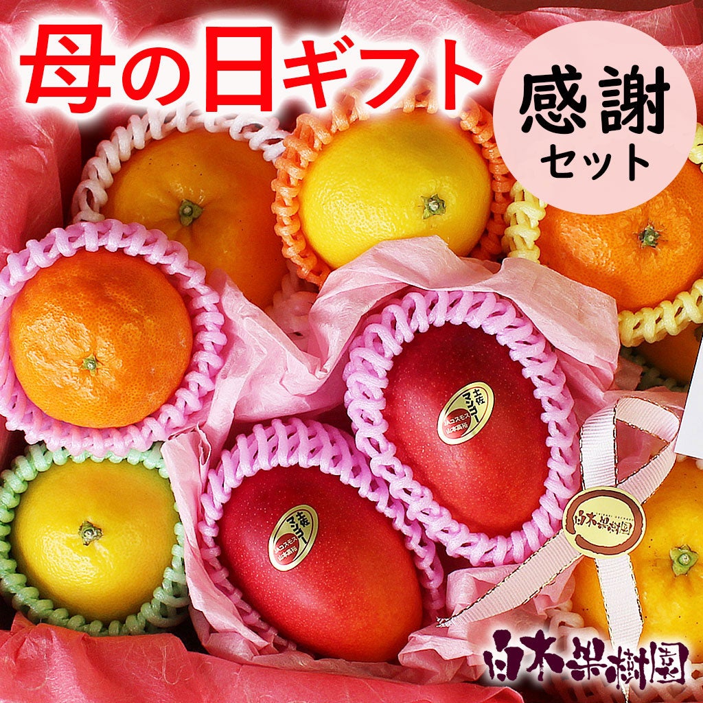 虎太郎の母　和田果樹園の果物　10kg ✖️2箱 母の日ギフト（感謝セット）【包装付き】【送料込】 | 白木果樹園