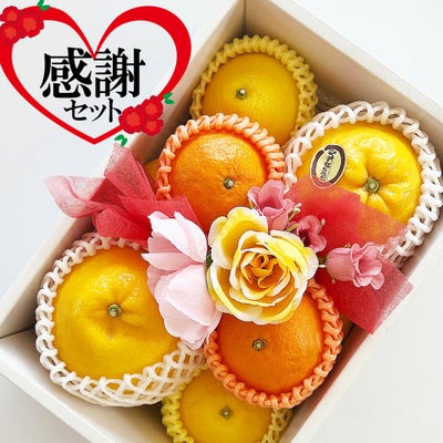 母の日ギフト（感謝）