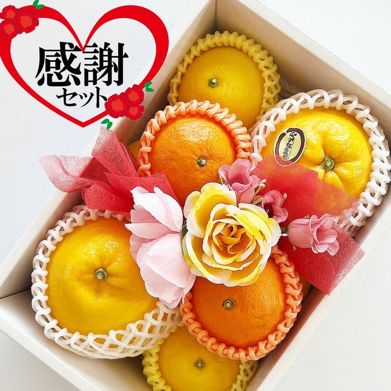 母の日ギフト（感謝）