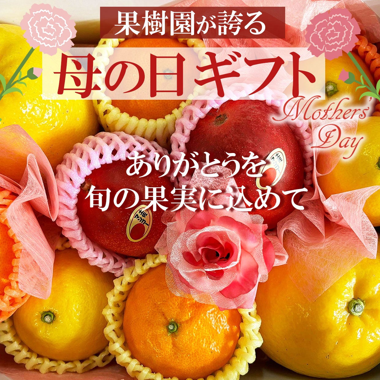 母の日ギフト（感謝セット）【包装付き】【送料込】 | 白木果樹園