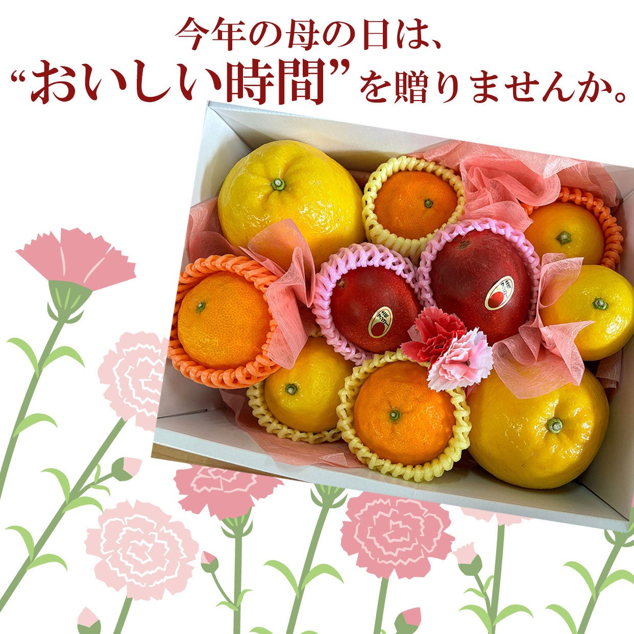 母の日ギフト（感謝セット）【包装付き】【送料込】 | 白木果樹園
