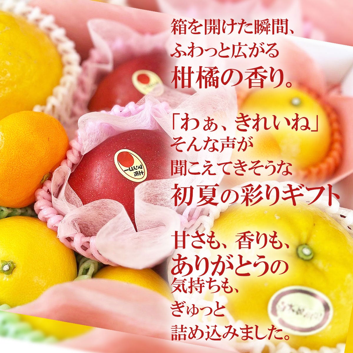 虎太郎の母　和田果樹園の果物　10kg ✖️2箱 母の日ギフト（感謝セット）【包装付き】【送料込】 | 白木果樹園 果物