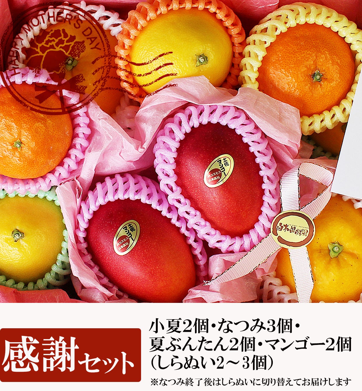 母の日ギフト（感謝セット）【包装付き】【送料込】 | 白木果樹園