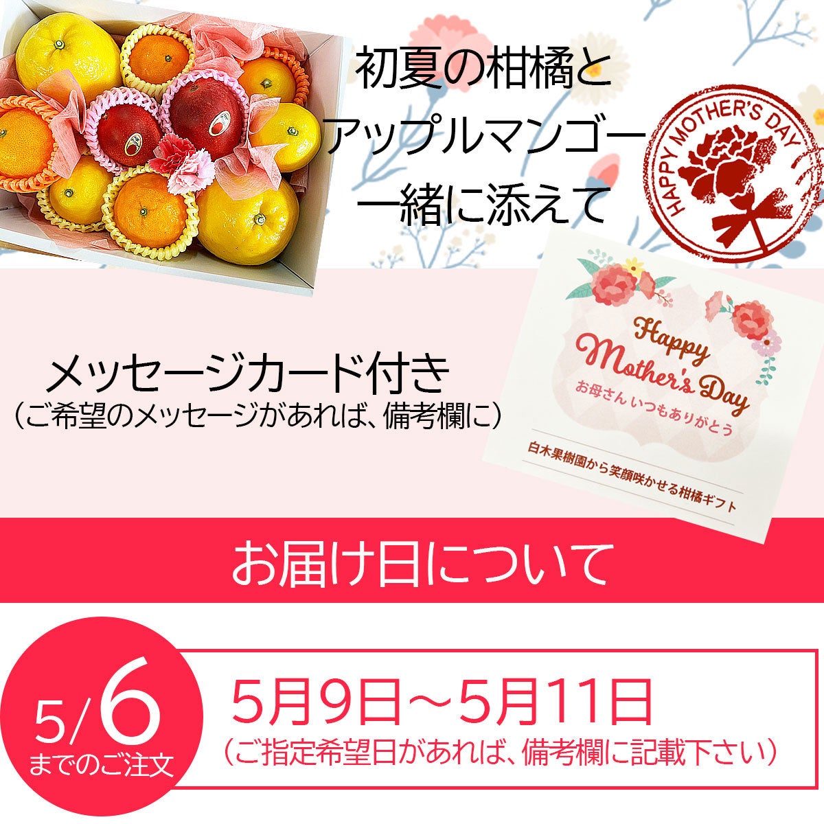 ぶぅーふぅたんさま 母の日 母の日ギフト（感謝セット）【包装付き】【送料込】 | 白木果樹園
