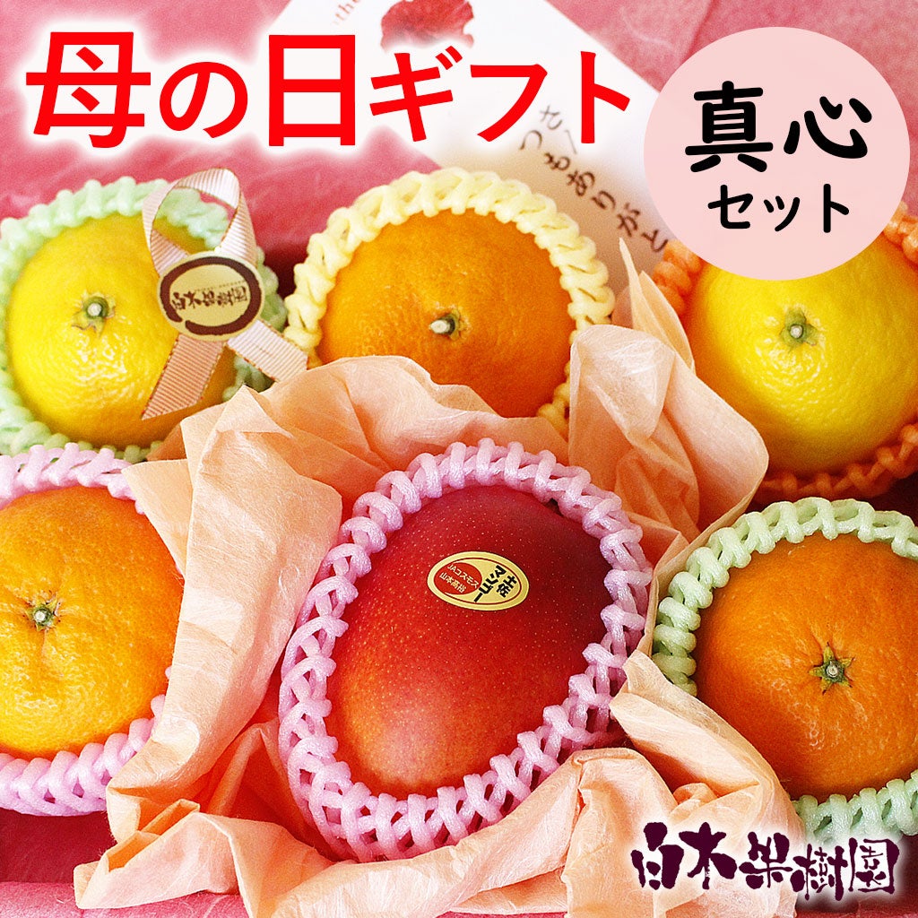 イベント・限定商品