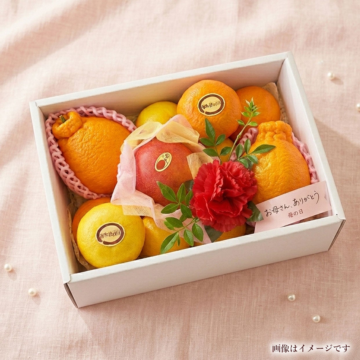 母の日ギフト（真心セット）【包装付き】【送料込】 | 白木果樹園