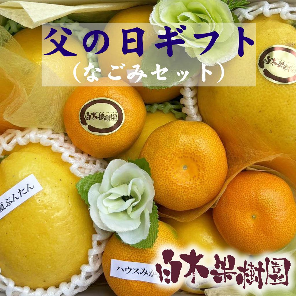 父の日 | 白木果樹園