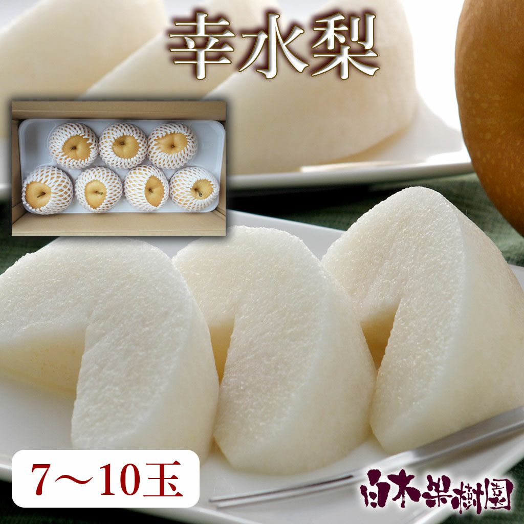 (10玉〜12玉サイズ南水梨)約10kg贈答用★送料込★秋田県産 山下屋荘介 梨 長野県産 送料無料 秀品 10kg 幸水 豊水 二十世紀 南水