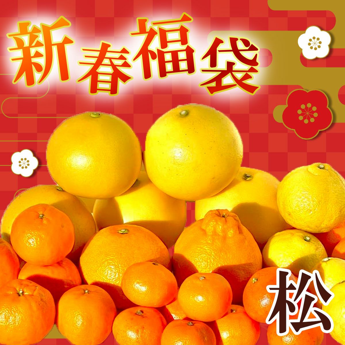 白木果樹園2026年 新春福袋＜松＞約10kg【送料込】 | 白木果樹園