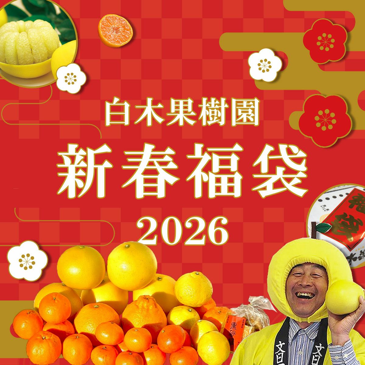 白木果樹園2026年 新春福袋＜松＞約10kg【送料込】 | 白木果樹園