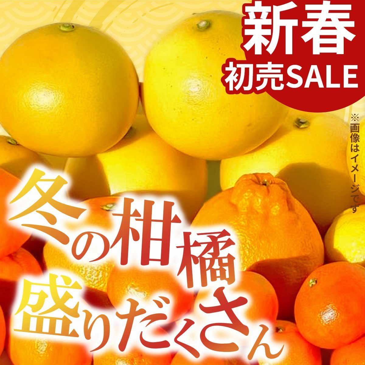 白木果樹園2026年 新春福袋＜松＞約10kg【送料込】 | 白木果樹園