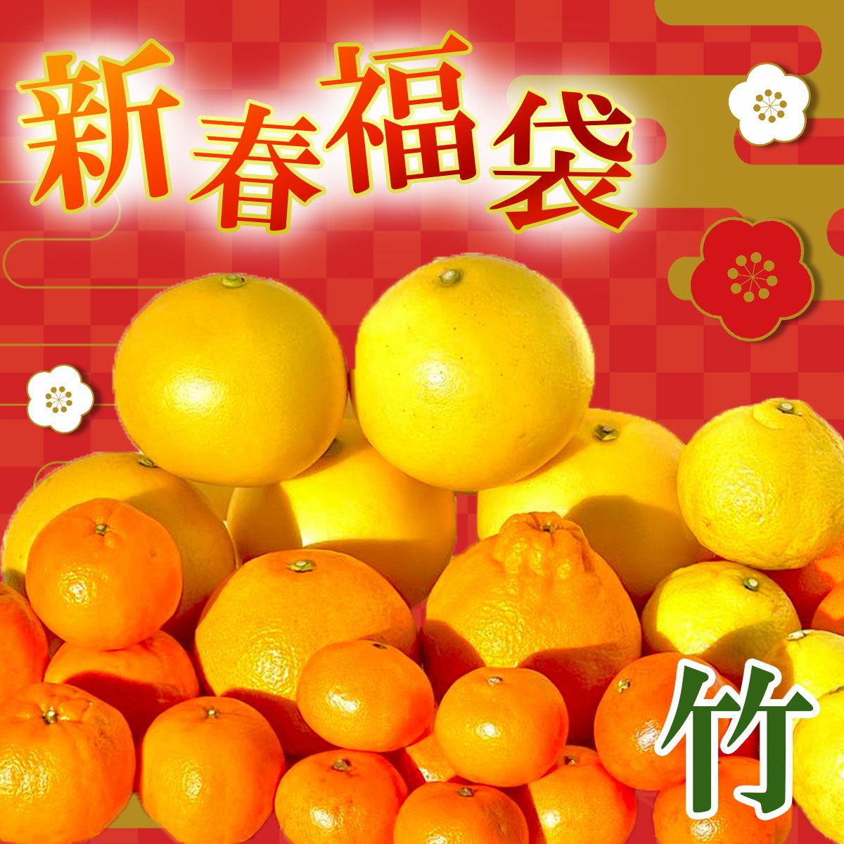 白木果樹園2026年 新春福袋＜竹＞約6kg【送料込】 | 白木果樹園