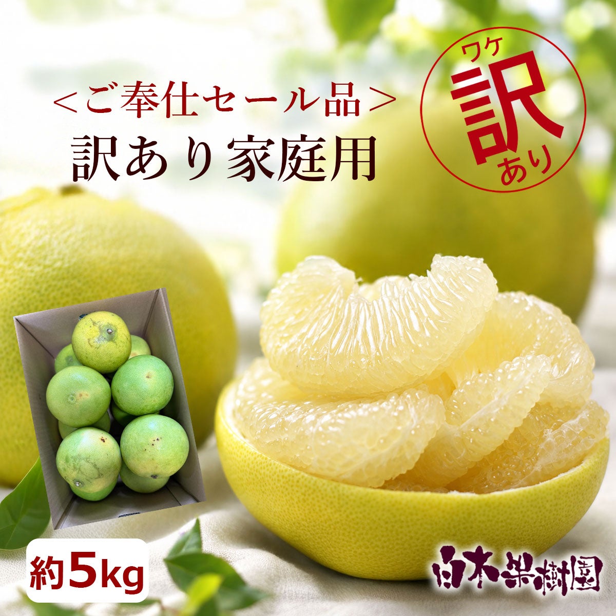 わけあり水晶文旦　約5kg