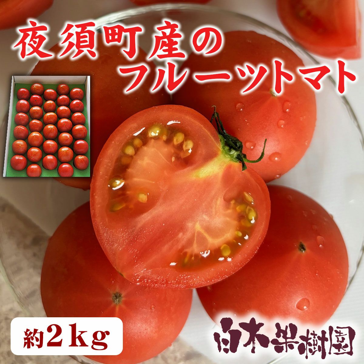 夜須のフルーツトマト約2kg【送料込】 | 白木果樹園