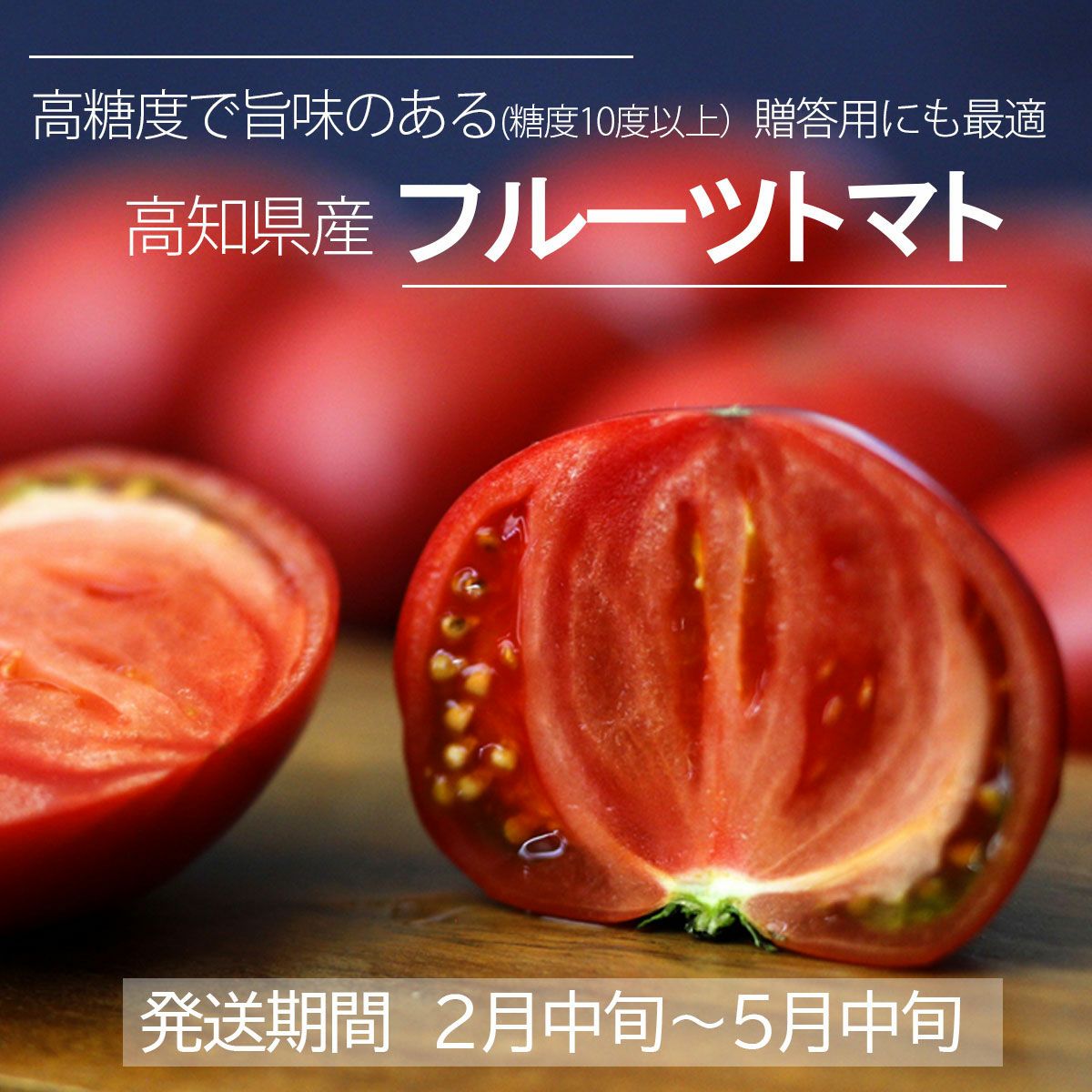 夜須のフルーツトマト約2kg【クール送料込】 | 白木果樹園