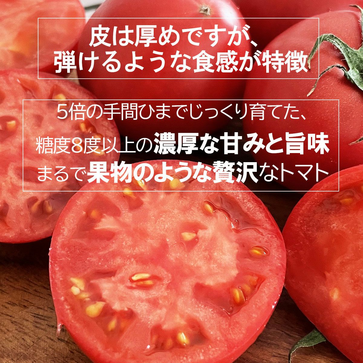 夜須のフルーツトマト約2kg【クール送料込】 | 白木果樹園