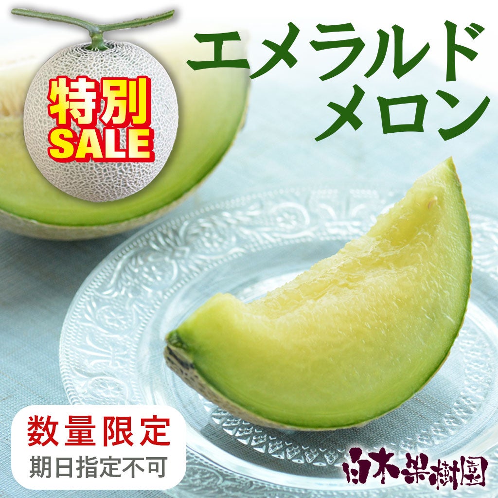 メロン　1個入り
