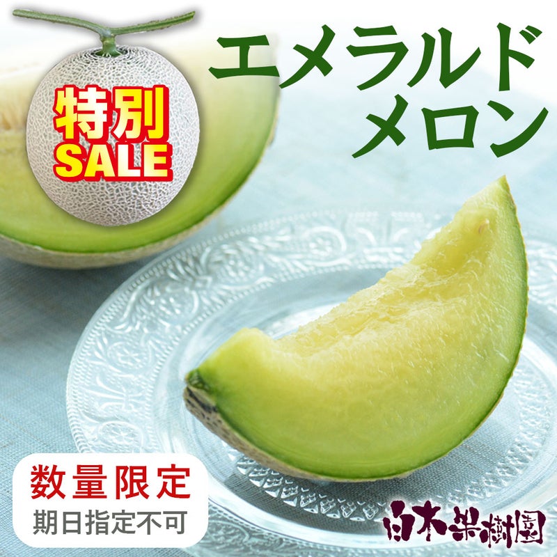 メロン　1個入り