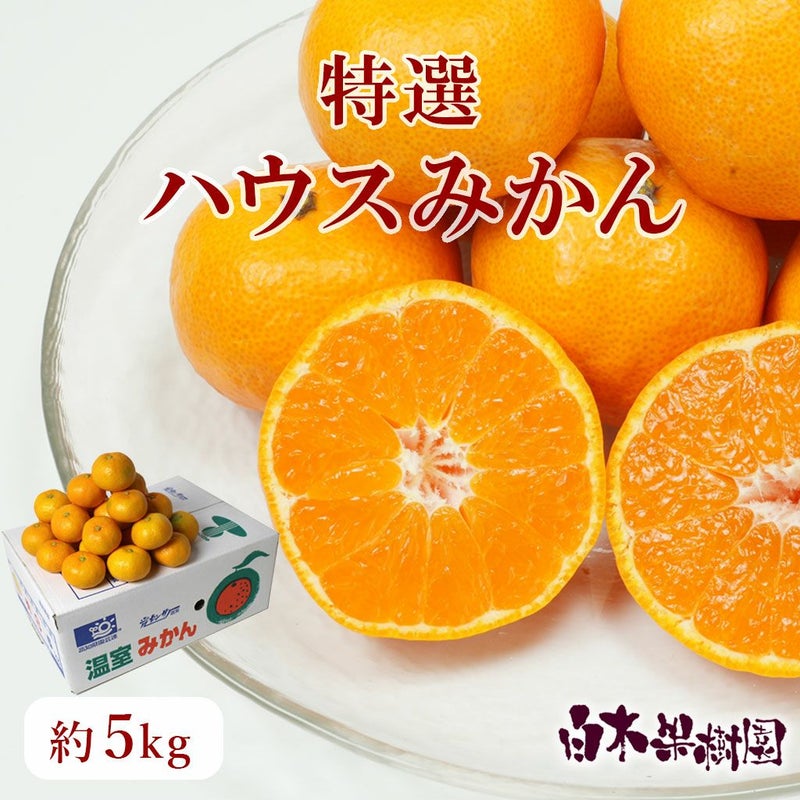 ハウスみかん 約5kg（高知県産）