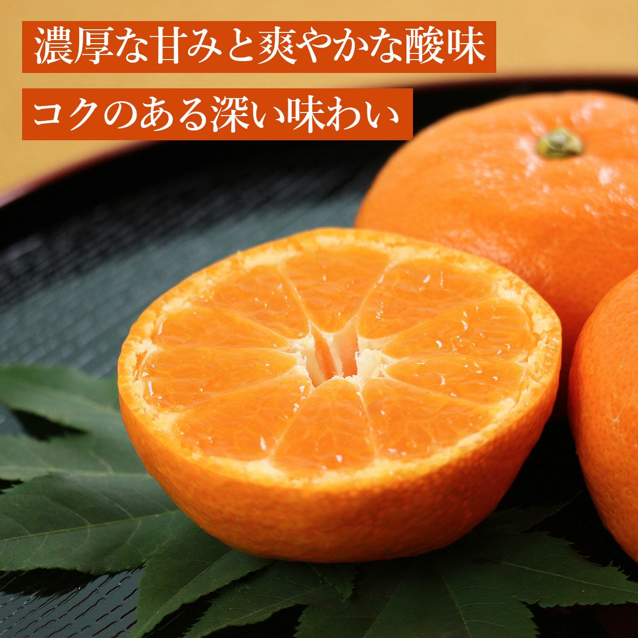 ハウスみかん約5kg【送料込】 | 白木果樹園
