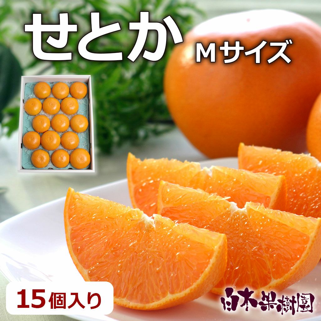せとか ご家庭用Mサイズ【送料込】 | 白木果樹園