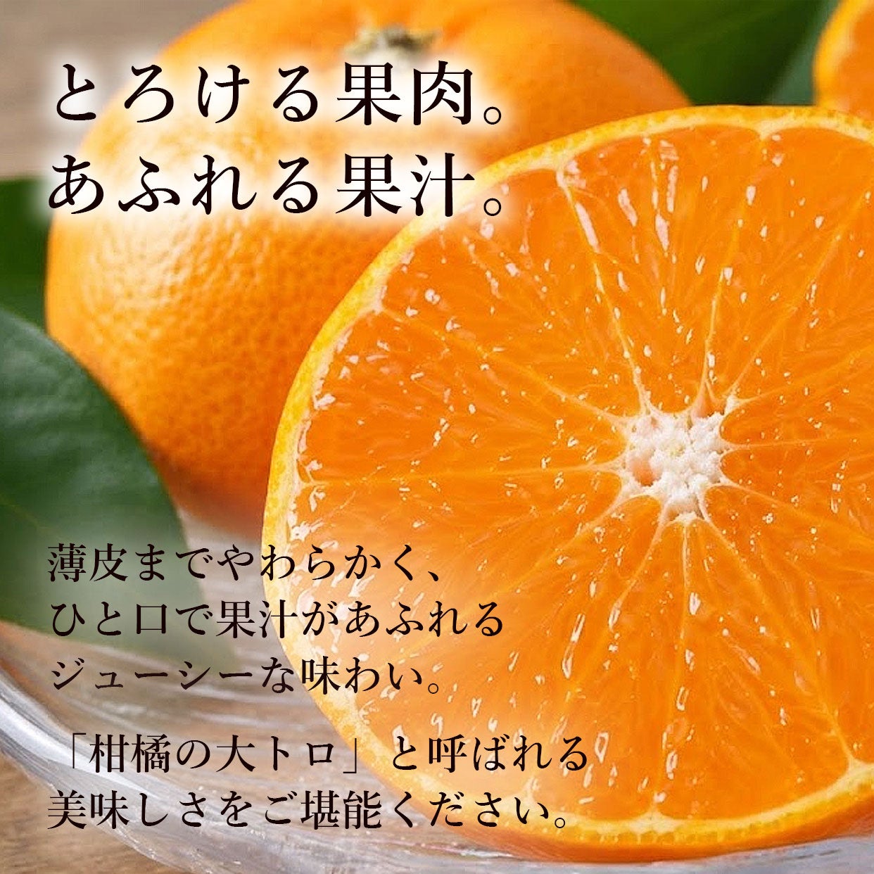 高知県産せとか｜柑橘の最高峰。とろける甘さと香りを旬に味わう｜白木