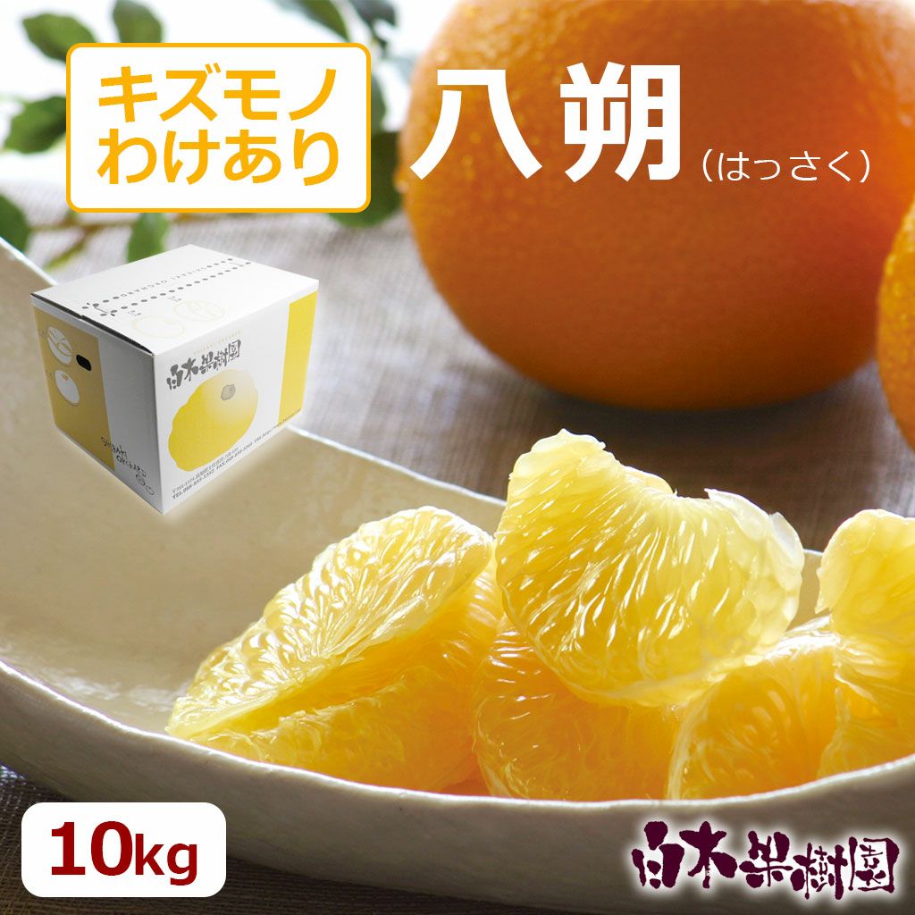 八朔（はっさく）