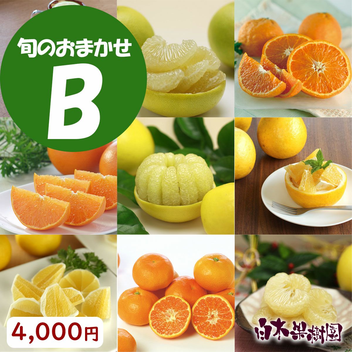 訳あり】旬のおまかせセットB【送料込】 | 白木果樹園