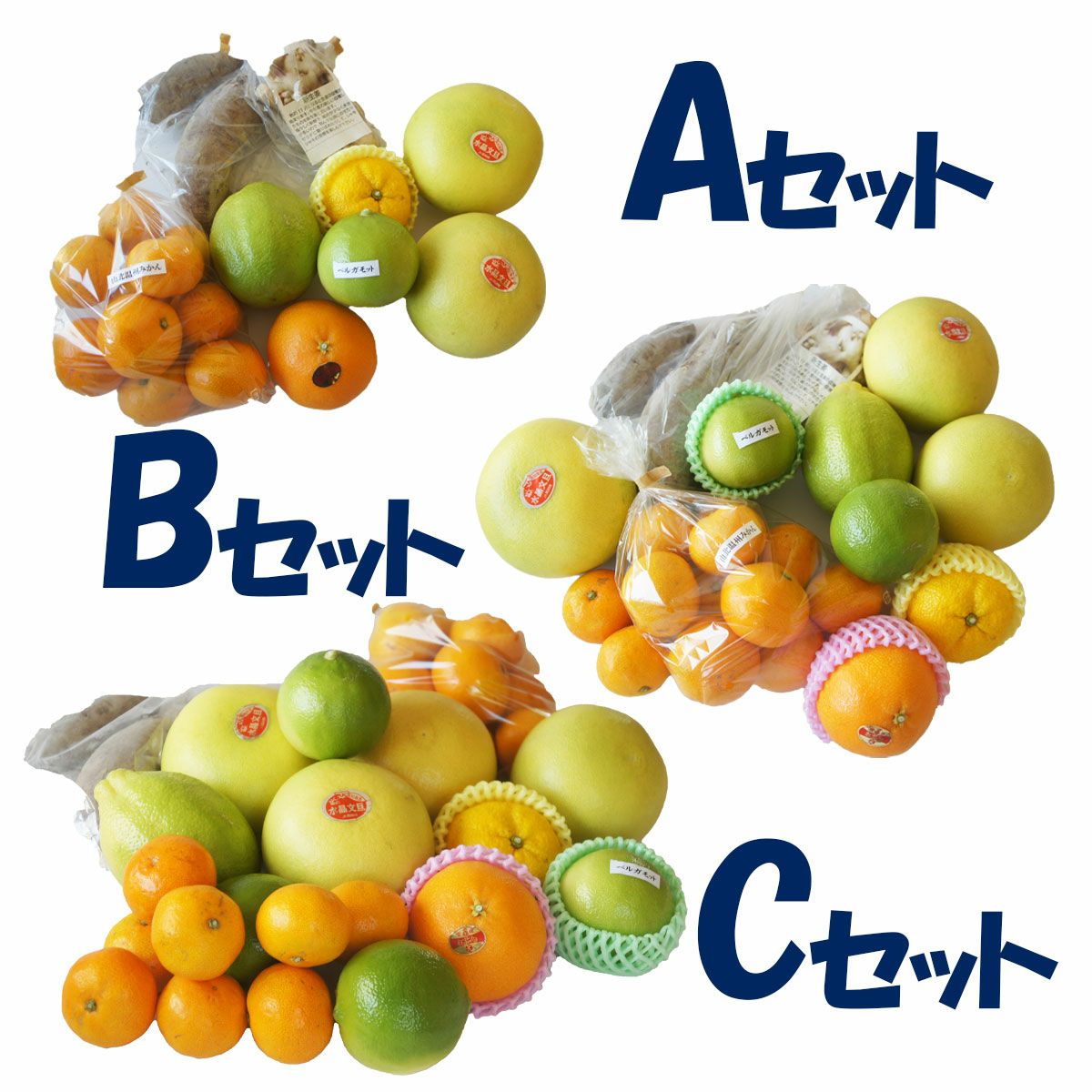 000000000218-06.jpg?size=l&w=