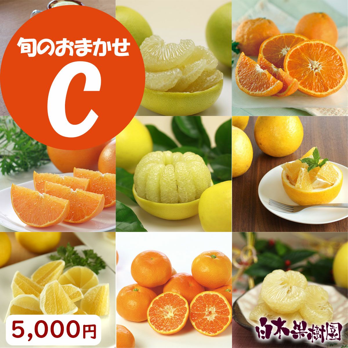 訳あり】旬のおまかせセットC【送料込】 | 白木果樹園