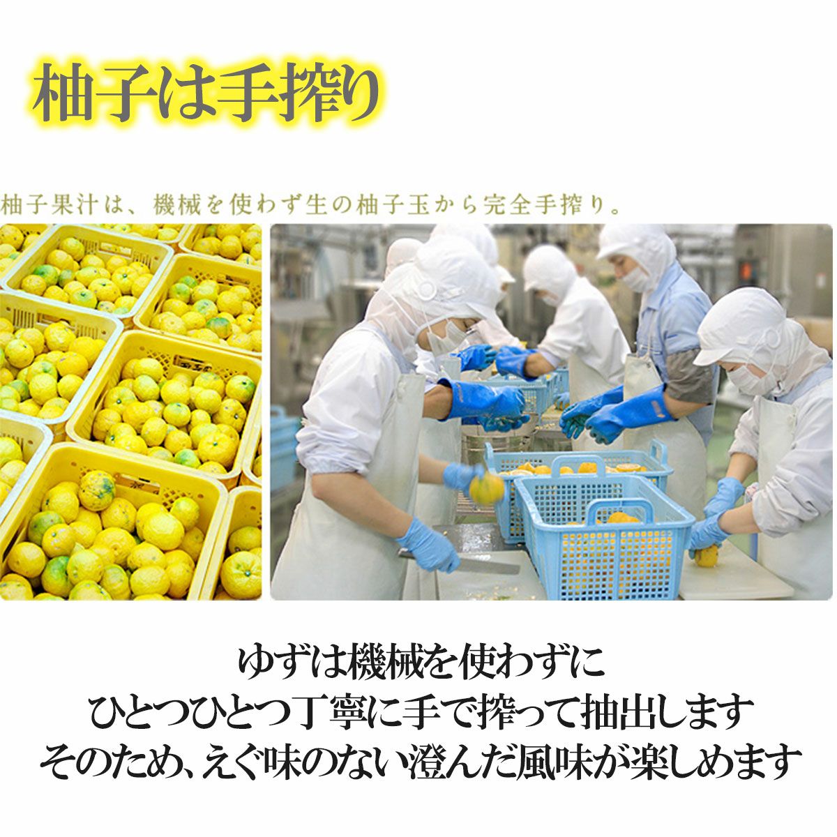 土佐のフルーツキャンデーセット12本入り【送料込】 | 白木果樹園