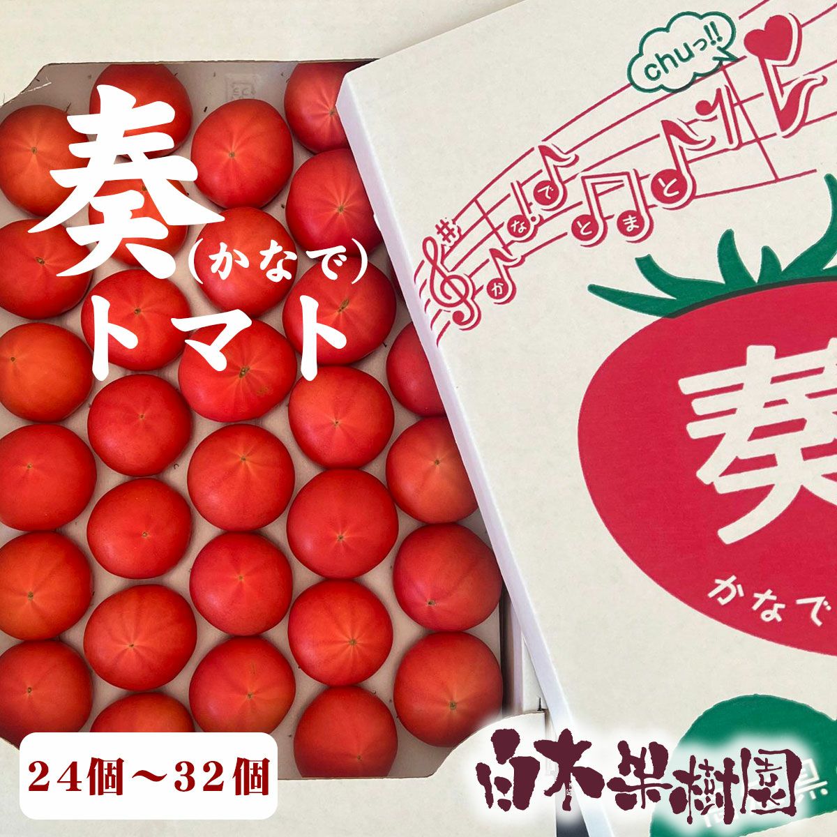 ドキドキフルーツランド18点まとめ売り 奏トマト約2kg【クール送料込】 | 白木果樹園