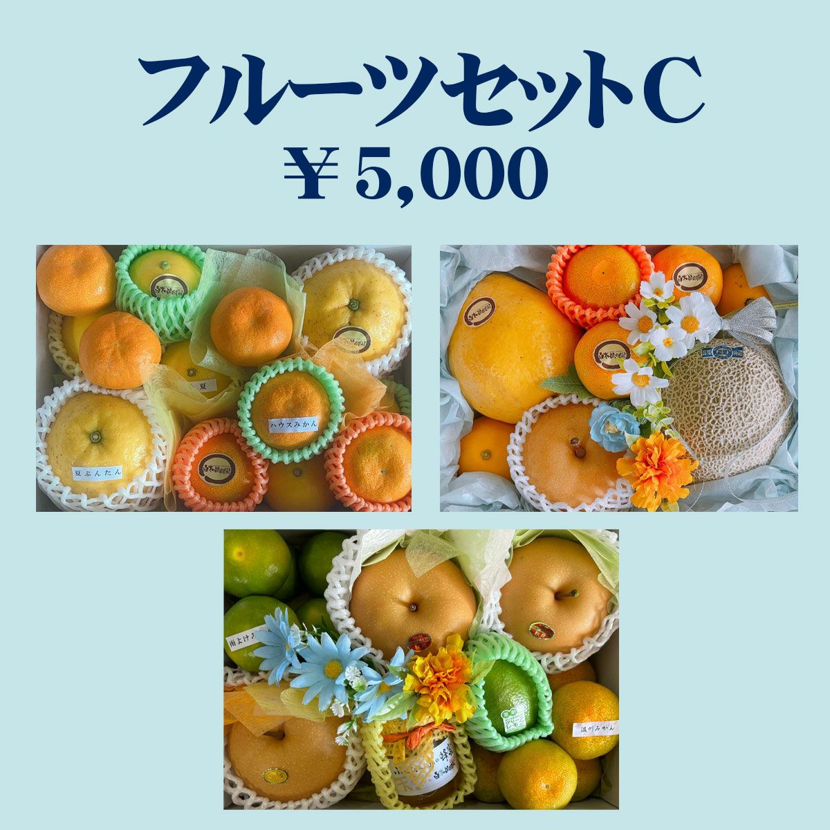白木果樹園オーダーメイドフルーツセット C（フルーツ詰め合わせ