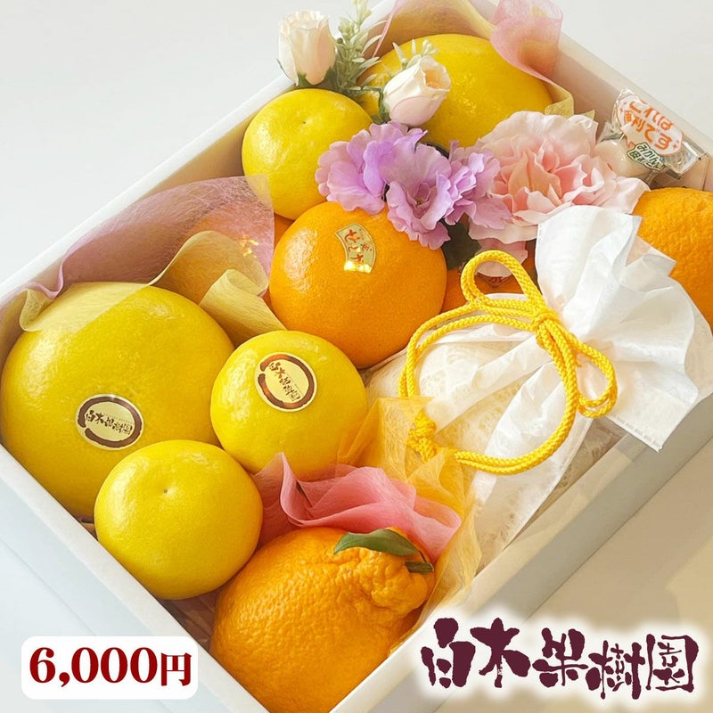 オーダメイドフルーツセットD