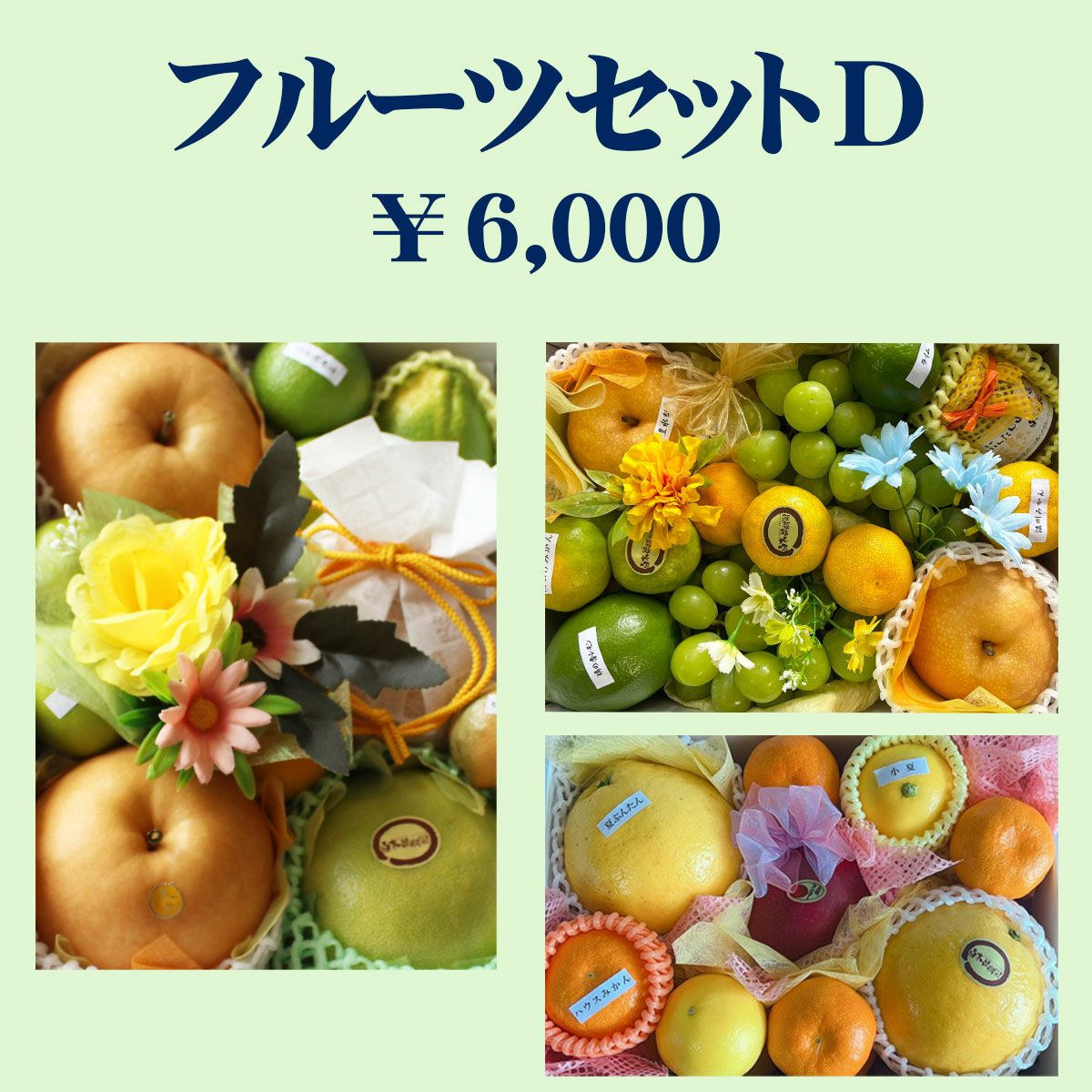 000000000234-02.jpg?size=l&w=